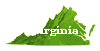 Category: Virginia